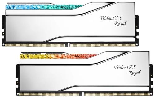 Оперативная память G.Skill Trident Z5 Royal [F5-6400J3239G32GX2-TR5S] 64 ГБ
