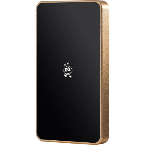 Внешний SSD Smartbuy P5 Pro SBD2T0P5CU3C 2TB USB 3.2 champagne
