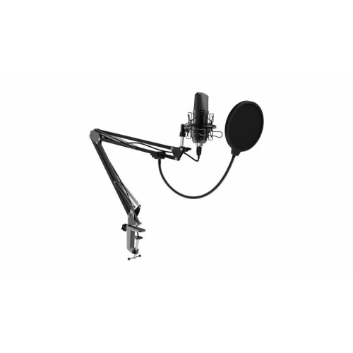 Микрофон RITMIX RDM-169 Black