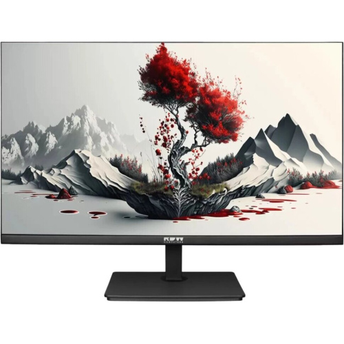 Монитор RDW COMPUTERS RDW2401K (2401K/F00В0100V2A1H) черный