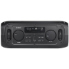 Портативная колонка Hyundai H-PS1030 черный/черный