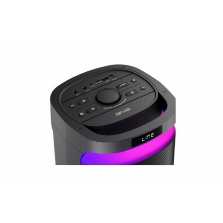 Акустическая система AIWA CAS-622