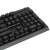 Клавиатура  проводная Razer BlackWidow V4 X